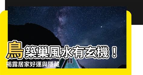 鳥 築 巢 吉兆|鳥巢風水：居家好運密碼